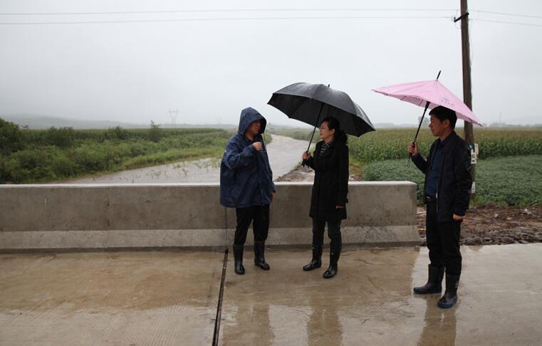 敦化法院：冒雨到包保村屯检查防汛工作