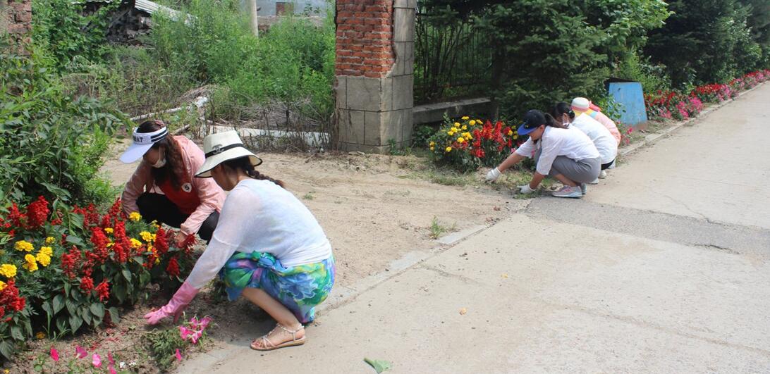 秋梨沟镇党员志愿者开展义务除草活动