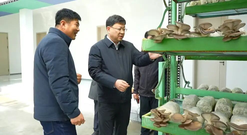 苏志远在大桥乡和大石头镇宣传贯彻全国两...